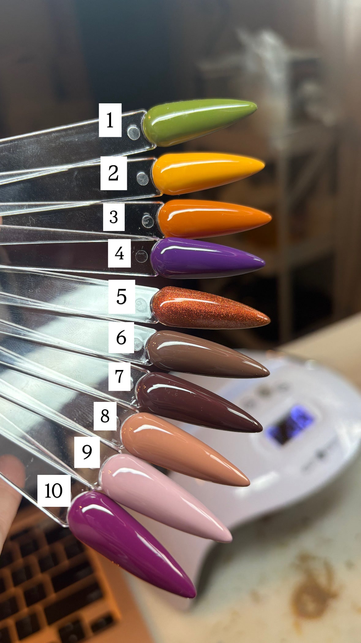 FALL SOLIDS