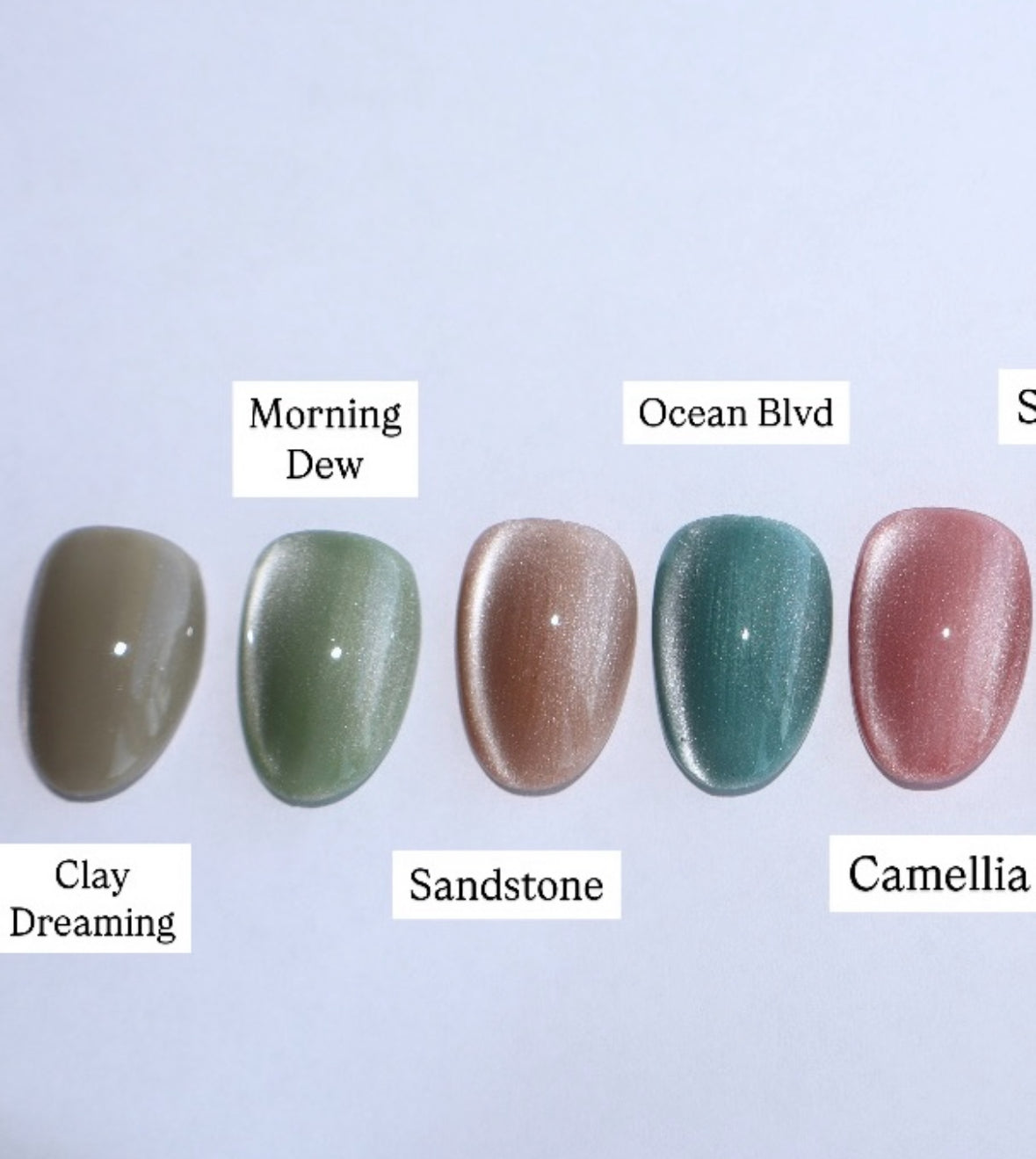 SUMMER VELVETS