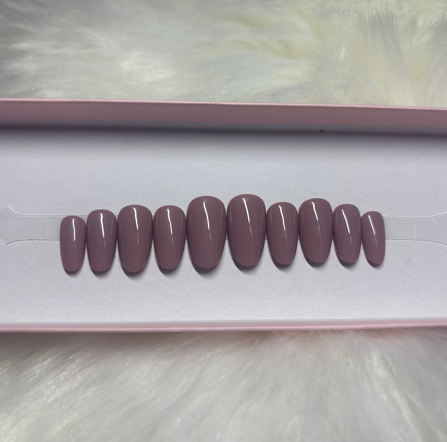 MAUVE ROSE