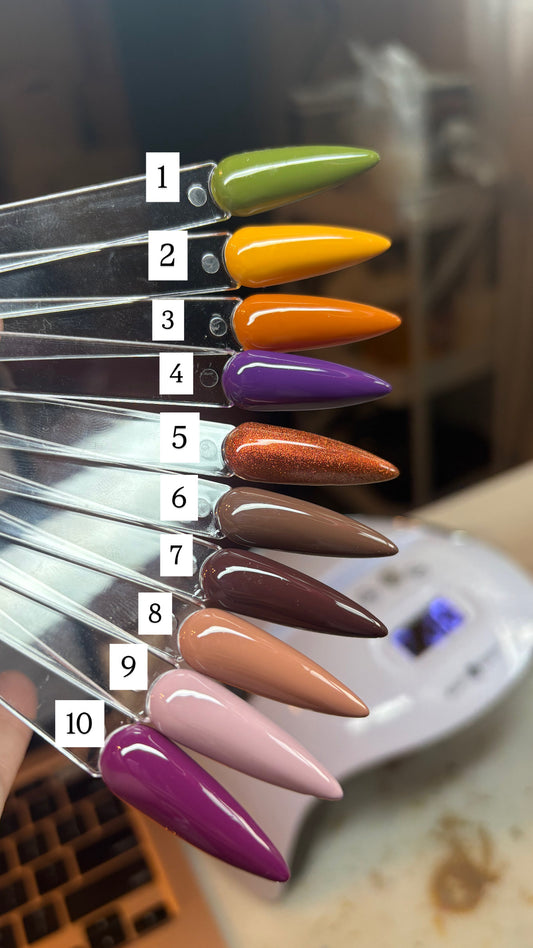 FALL SOLIDS